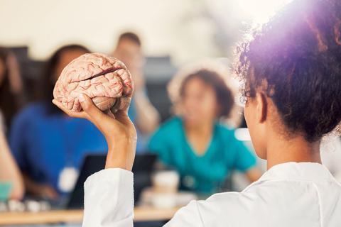 Instructor holding model of brain.